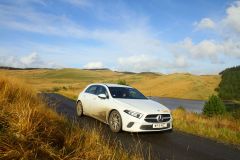 23_Autumn_Leaves-204