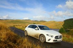 23_Autumn_Leaves-205