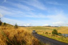 23_Autumn_Leaves-206