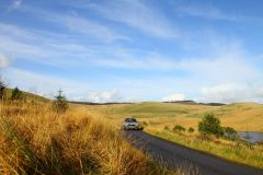 23_Autumn_Leaves-207