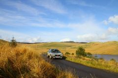 23_Autumn_Leaves-209