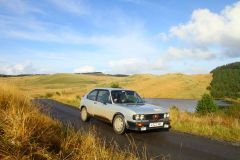 23_Autumn_Leaves-212