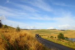 23_Autumn_Leaves-213