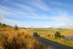 23_Autumn_Leaves-214