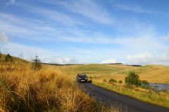 23_Autumn_Leaves-215