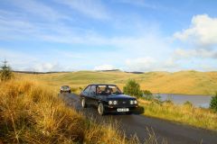 23_Autumn_Leaves-220