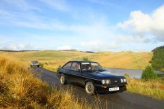 23_Autumn_Leaves-222