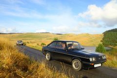 23_Autumn_Leaves-223