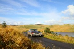 23_Autumn_Leaves-225