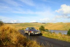 23_Autumn_Leaves-226