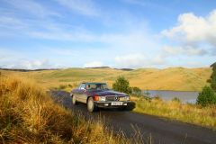 23_Autumn_Leaves-227