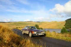 23_Autumn_Leaves-228