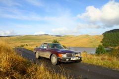 23_Autumn_Leaves-229