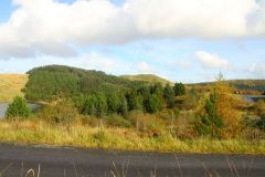 23_Autumn_Leaves-231