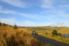 23_Autumn_Leaves-232