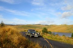 23_Autumn_Leaves-235