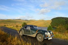 23_Autumn_Leaves-239