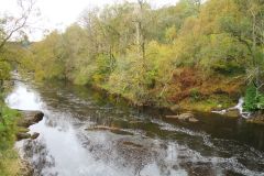 23_Autumn_Leaves-243