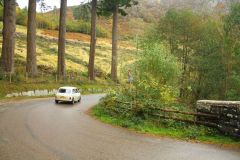 23_Autumn_Leaves-259