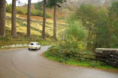 23_Autumn_Leaves-260
