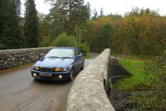 23_Autumn_Leaves-264