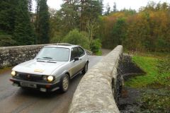 23_Autumn_Leaves-269