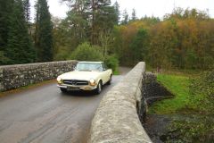 23_Autumn_Leaves-270