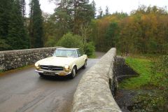 23_Autumn_Leaves-271