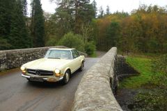 23_Autumn_Leaves-272