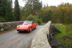 23_Autumn_Leaves-275