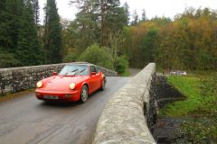 23_Autumn_Leaves-276