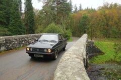 23_Autumn_Leaves-282