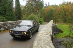 23_Autumn_Leaves-283