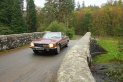 23_Autumn_Leaves-284