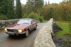 23_Autumn_Leaves-286