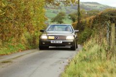 2025_Autumn_Leaves_-001