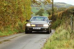 2025_Autumn_Leaves_-002