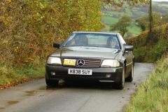 2025_Autumn_Leaves_-003