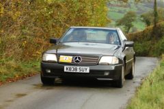 2025_Autumn_Leaves_-004