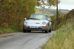 2025_Autumn_Leaves_-006