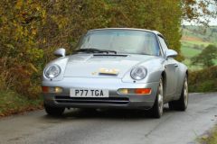 2025_Autumn_Leaves_-009