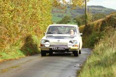 2025_Autumn_Leaves_-012