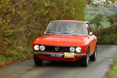 2025_Autumn_Leaves_-023