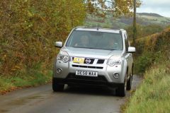 2025_Autumn_Leaves_-026