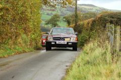 2025_Autumn_Leaves_-034