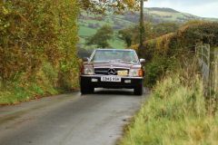 2025_Autumn_Leaves_-036