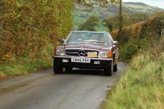 2025_Autumn_Leaves_-037