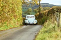 2025_Autumn_Leaves_-047