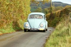 2025_Autumn_Leaves_-048