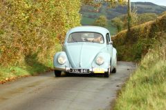 2025_Autumn_Leaves_-050